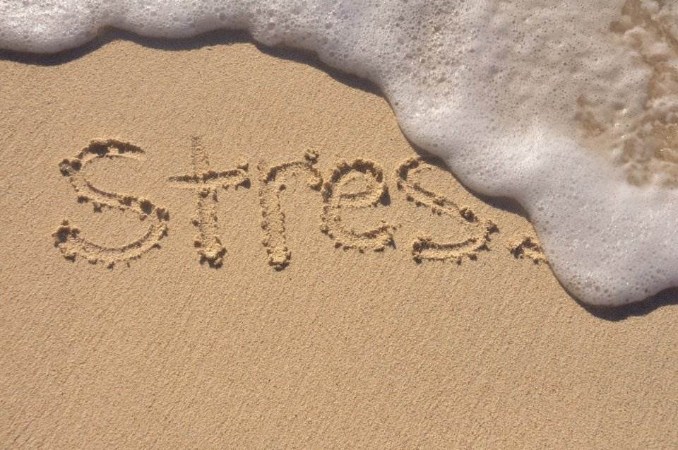 Managing Your Stress During This Time of COVID-19