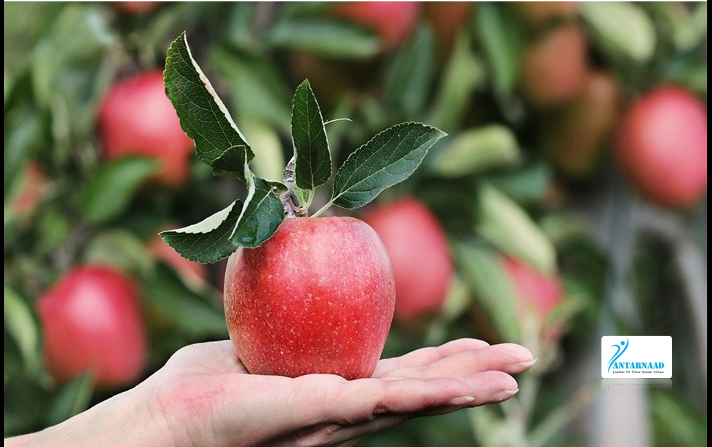 An Apple a Day Keeps the Doctor Away