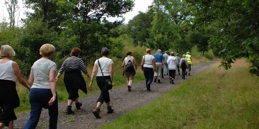 Effect of nature on health